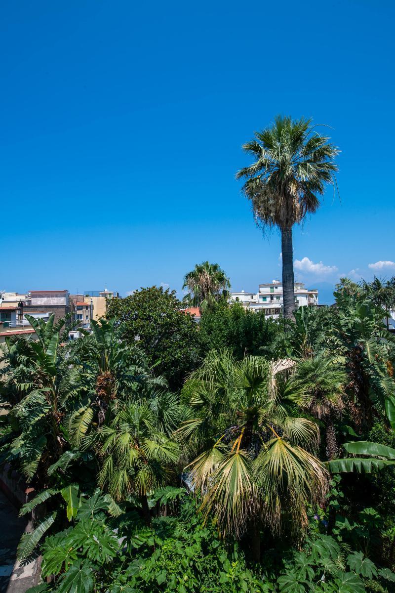 Don Giulio Luxury Rooms Vico Equense Esterno foto